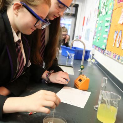 tsa_Year8Science (8)